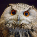 prancinggiraffe22 avatar