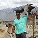 praveenmohanexplorer avatar