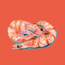 prawnsitivity avatar