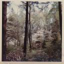 prayingtorecover avatar