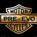pre-evo avatar