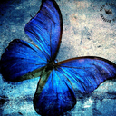 precioso-jesus avatar