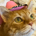 preciouscommoditybears avatar