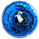 preciousmaraclea avatar