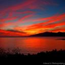 preciousmunchkin avatar