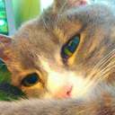 preciousssjewlz avatar