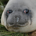 preconceitosplus avatar