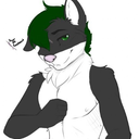 preedatoor127 avatar