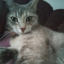 premature-in-my-decay avatar