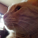 preparetodrop avatar