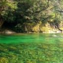 preppybythegraceofgod avatar