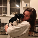 preppyparadise avatar