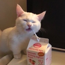 prescriptionmouthwash avatar