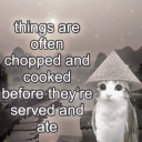 preservationdoll avatar