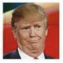 presidentdonaldtinyhands avatar