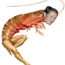 presidentshrimp avatar