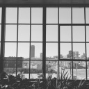 prestaattencion avatar