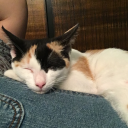 prestame-tu-piel avatar