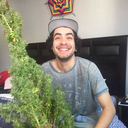 prestamelapipa avatar