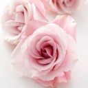 prestigiousinpink avatar