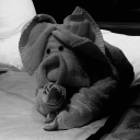 presumablynotional avatar