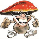 pretend-i-dont-exist avatar