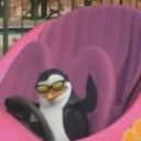 pretentiouspotatoe avatar