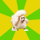 pretentioustheatrekidpoodle avatar