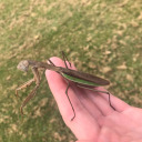 prettiestviews avatar