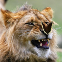 pretty--flacko avatar