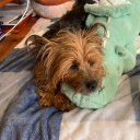 pretty-hills-i-die-on avatar