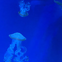 pretty-odd-blog avatar