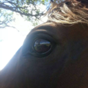 pretty-pink-98 avatar