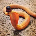 pretty-pink-pearl avatar