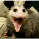 pretty-red-reaper avatar