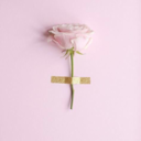 pretty-things-irl avatar