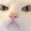 prettyandawkward avatar