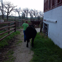 prettyasapeachtoughasaboot avatar