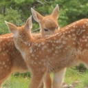 prettybaby505 avatar