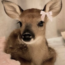 prettybabyari avatar