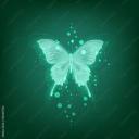 prettybabybutterfly avatar