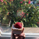 prettyboistudies avatar