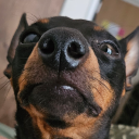 prettyboy-remi avatar