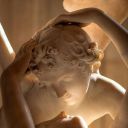 prettydaisygirl avatar