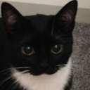 prettygamunkul-blog avatar