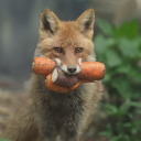 prettygirlmess avatar