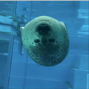 prettygirlsave avatar