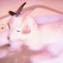 prettylittledemonboy avatar