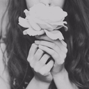 prettylittlereverie avatar