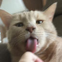 prettypinkdork avatar